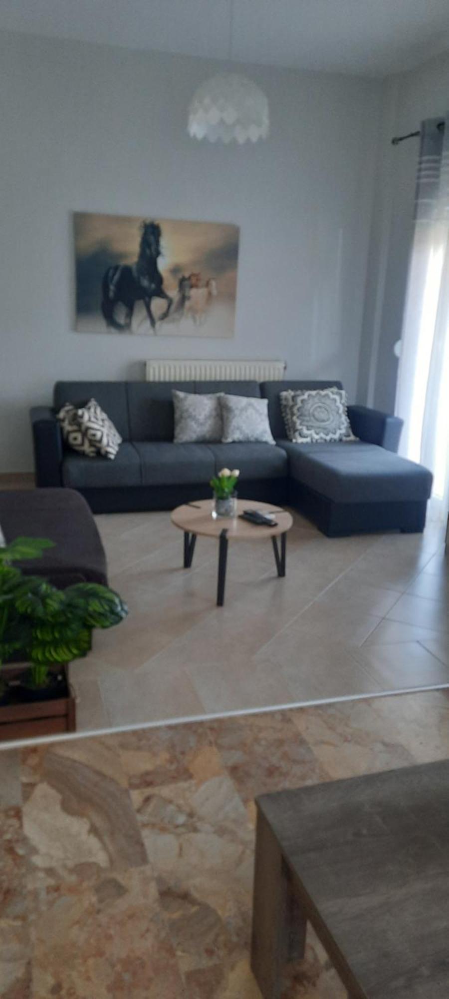 Seaside Family Apartment In Paralia Dionisiou المظهر الخارجي الصورة