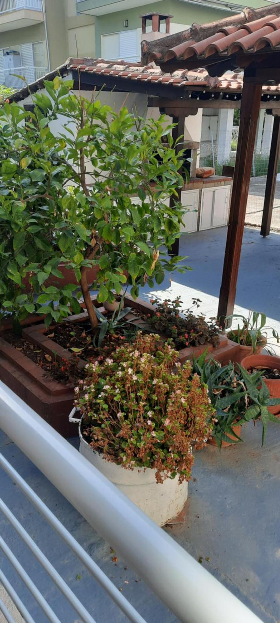 Seaside Family Apartment In Paralia Dionisiou المظهر الخارجي الصورة