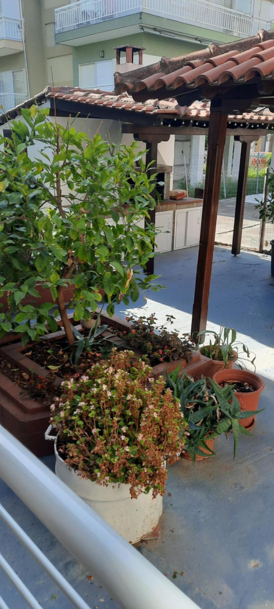 Seaside Family Apartment In Paralia Dionisiou المظهر الخارجي الصورة
