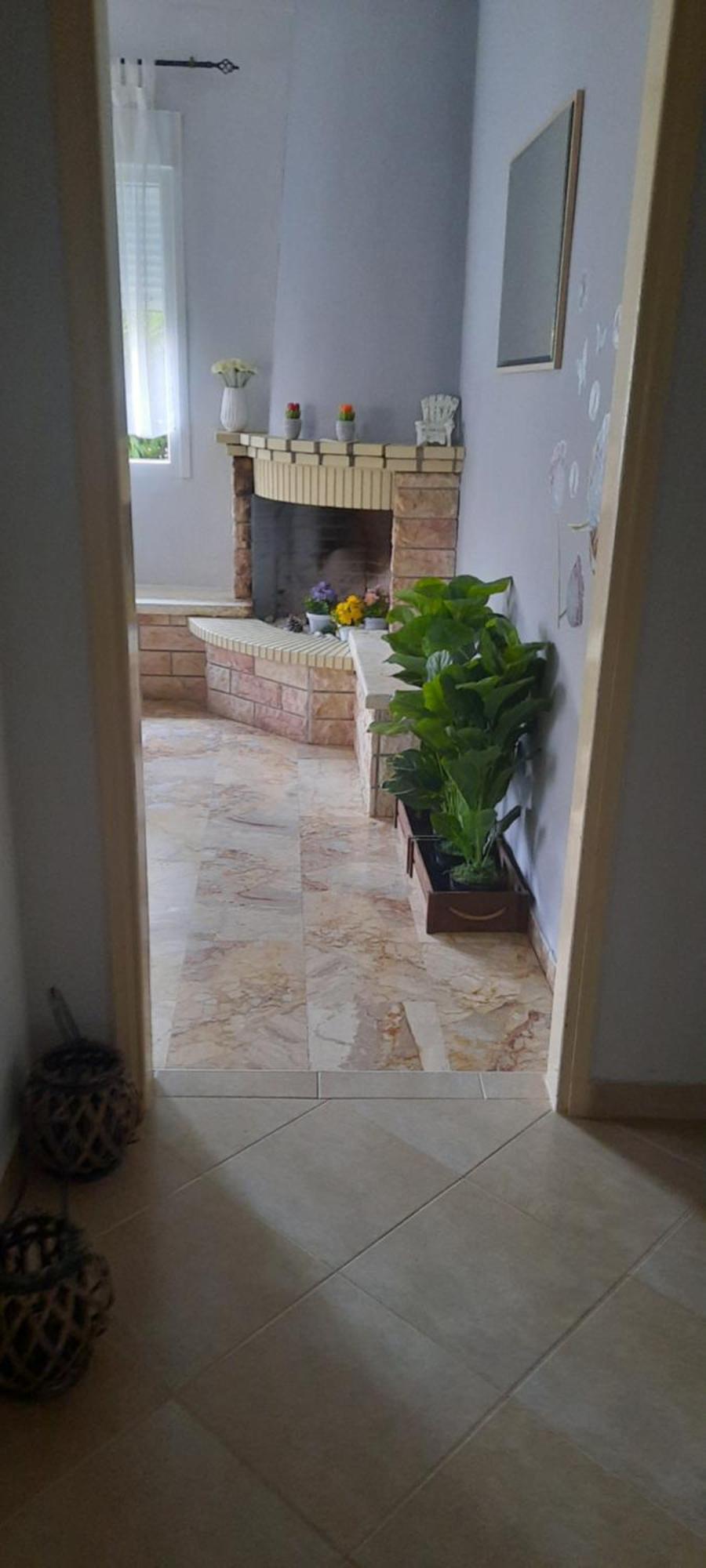 Seaside Family Apartment In Paralia Dionisiou المظهر الخارجي الصورة